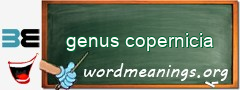 WordMeaning blackboard for genus copernicia